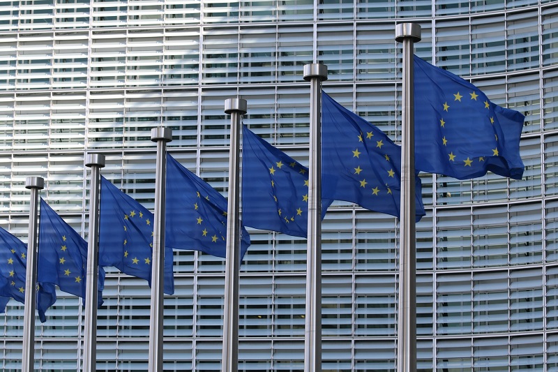 Photo: BJA Webinar on the European Union in Perspective